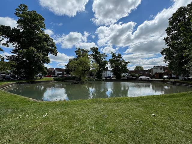 Godstone Pond - Image 2