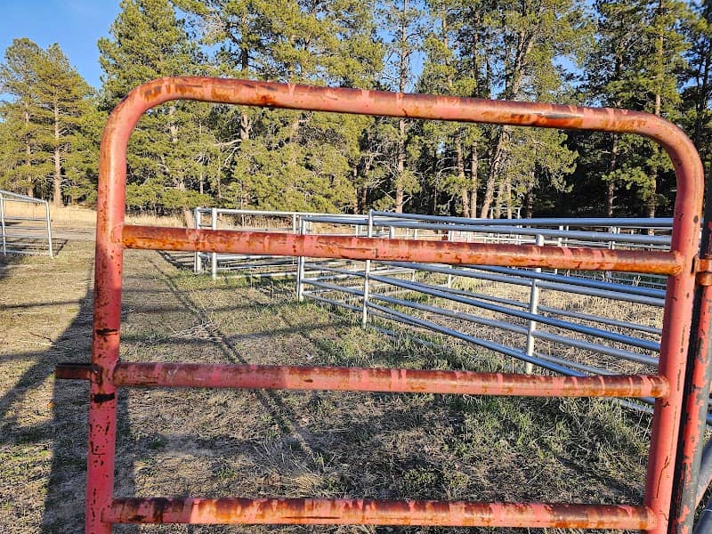 Elizabeth Stampede Rodeo - Image 1