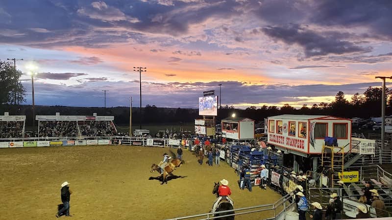 Elizabeth Stampede Rodeo - Image 2