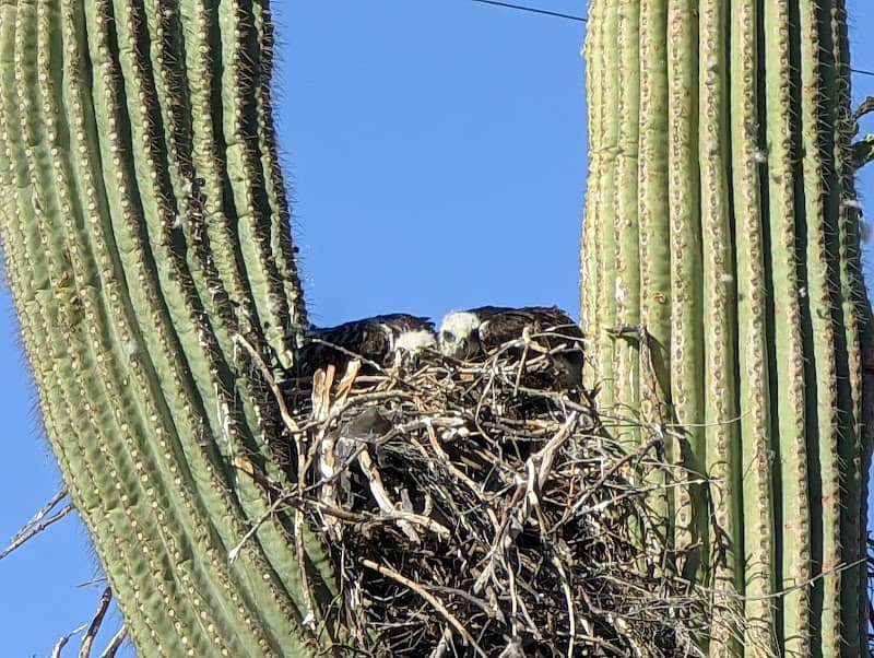 Pima County Land Trust Entrance - Image 1