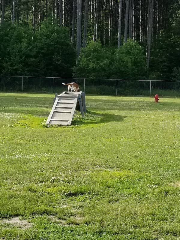 Markey Memorial Dog Park - Image 1