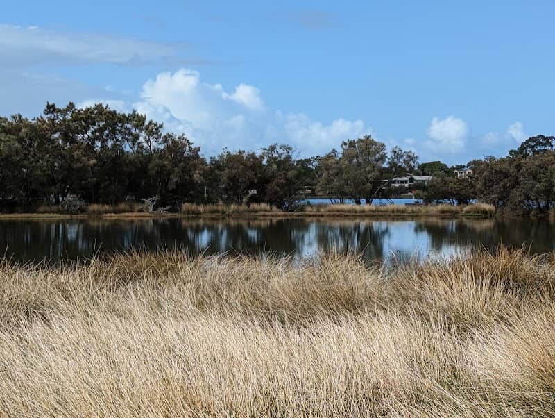 Salter Point Reserve - Image 2
