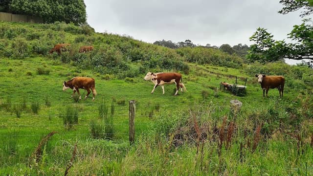 Pambalong Nature Reserve - Image 1