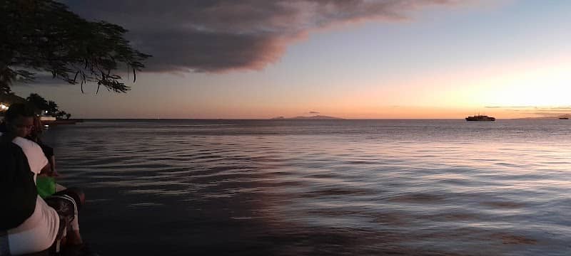 View - Image 2
