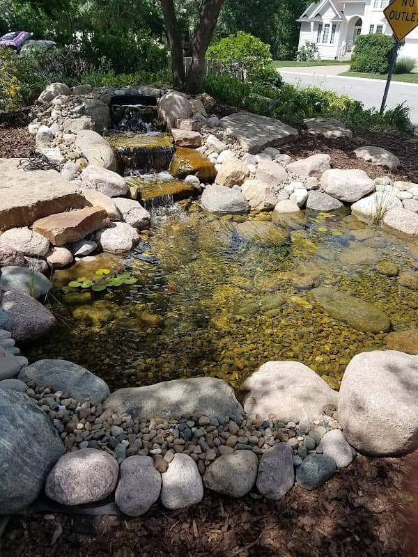 Winterset Butterfly Garden - Image 2