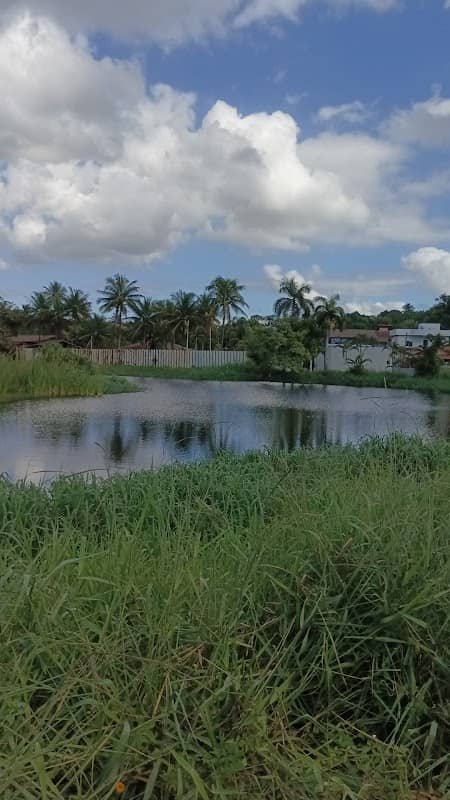 Lagoa do baú - Image 1