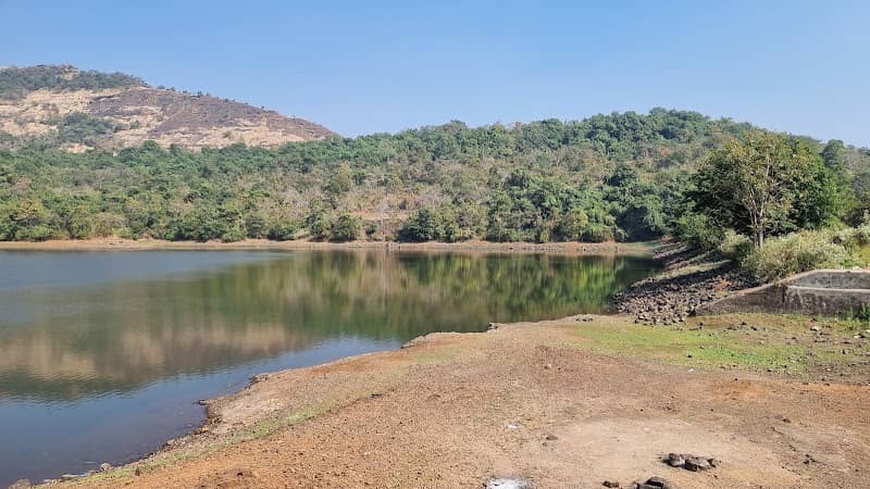 Bamboo Dam - Image 1