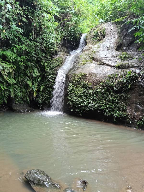 টিএনটি পাড়া ঝিরি - Image 1