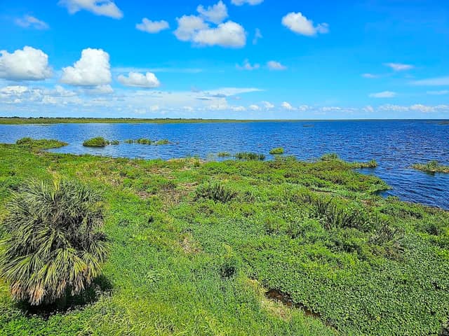 Lake Okeechobee View - Image 2