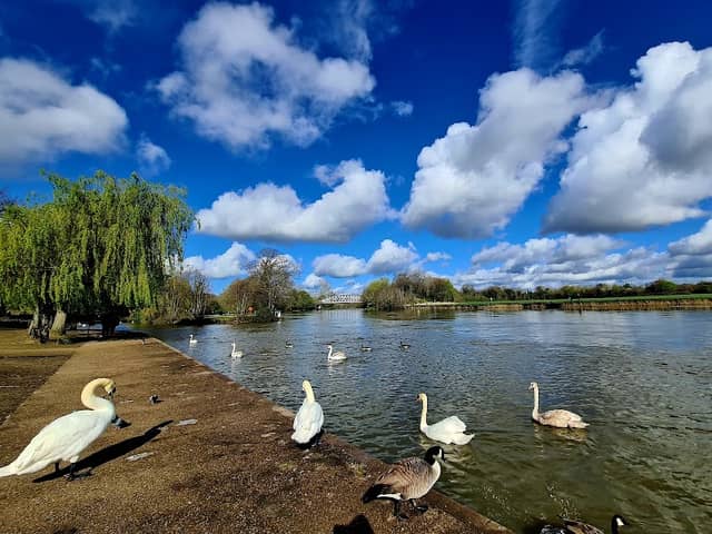 Alexandra Gardens - Image 1
