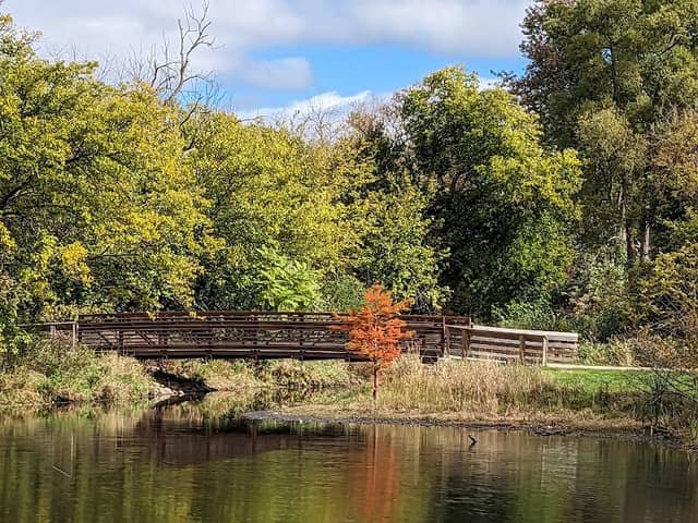 White Park - Image 1