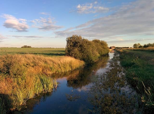 Fiskerton Fen Nature Reserve - Image 2