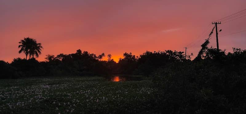 Sunset - Image 1