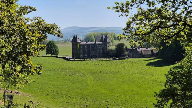 Deer park - Image 2