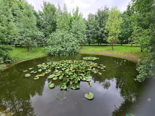 Brocki Park - Image 1
