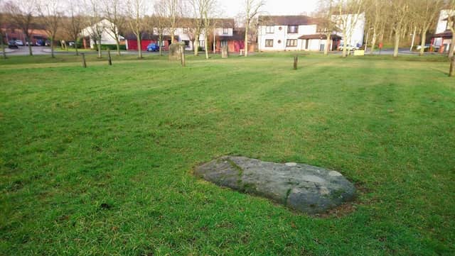 Balfarg Henge - Image 2