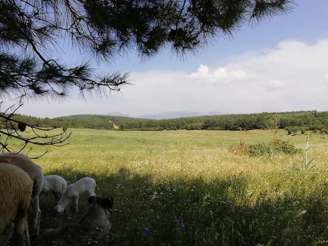 Huzur Parkı - Image 1