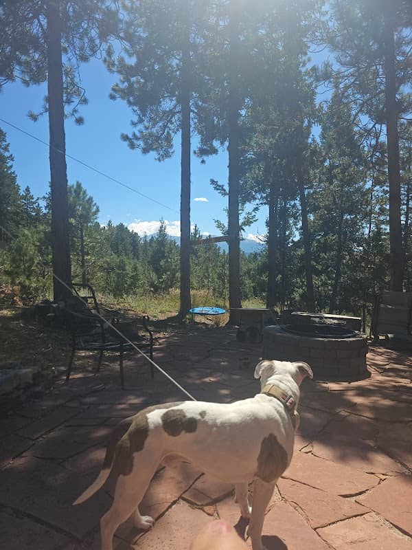 Country Ridge Park - Image 1