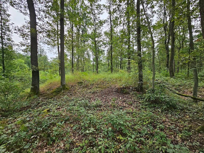 Gródek stożkowy - Image 1