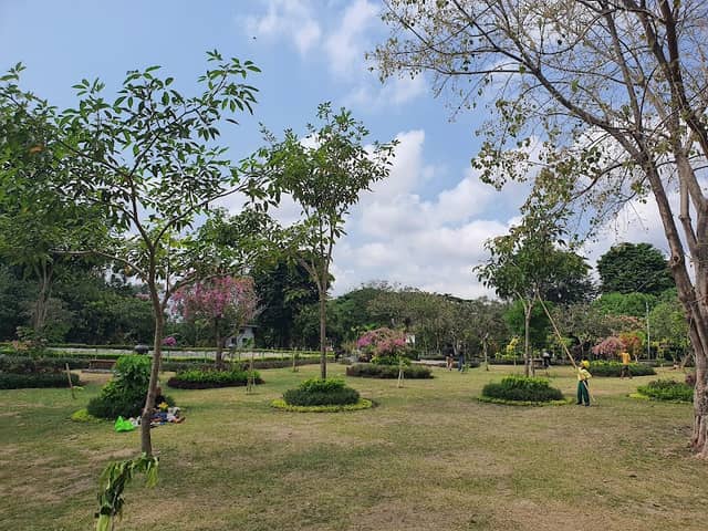 YOUTH PARK - Image 2