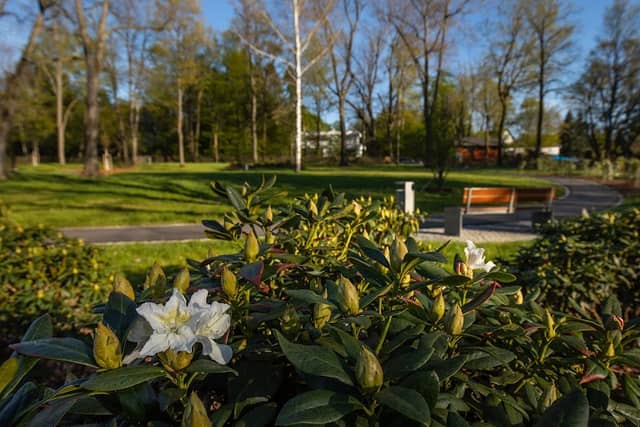 Oberlungwitz Park - Image 2