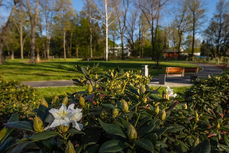 Oberlungwitz Park - Image 2