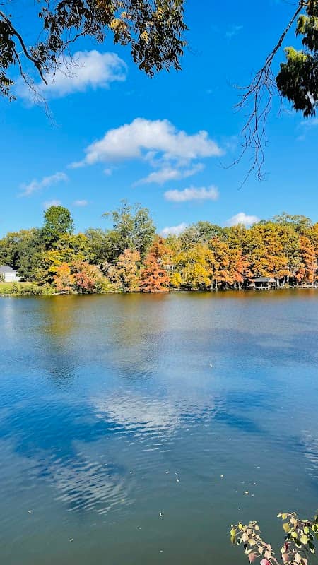 ULM University Park - Image 1