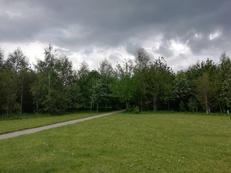 Selby Community Woodland - Image 1