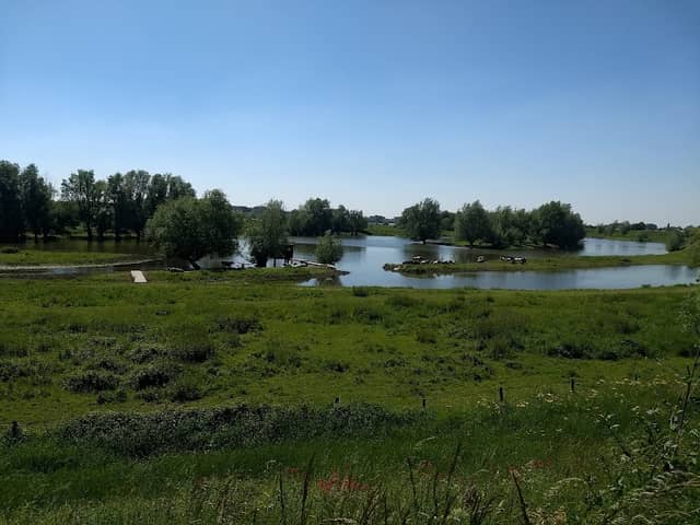 Wetland Passewaay - Image 1