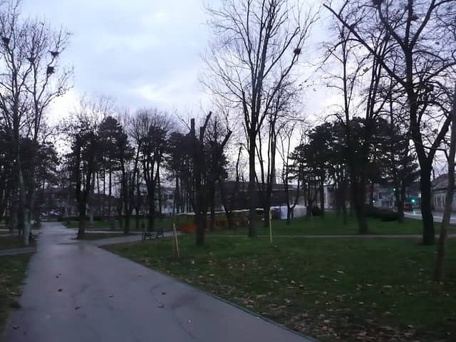 Gradski park - Image 1