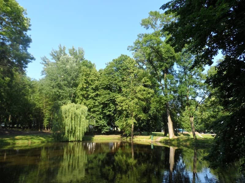 Park pałacowy - Image 2