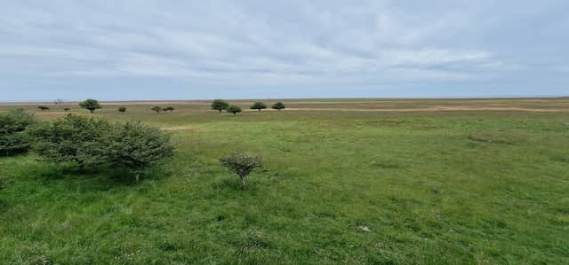 Ottenby naturreservat - Image 1