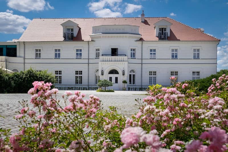 Palace on Opieszynie - Image 1