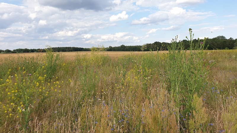 Mühlenberg Groß Machnow - Image 1