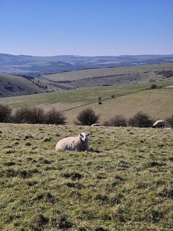 Lewes Downs - Image 2