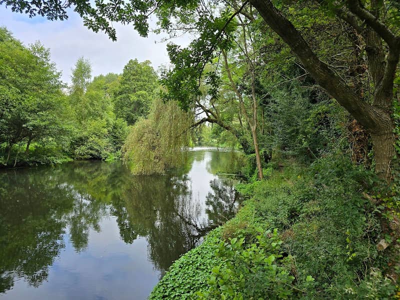 Denham Country Park - Image 2