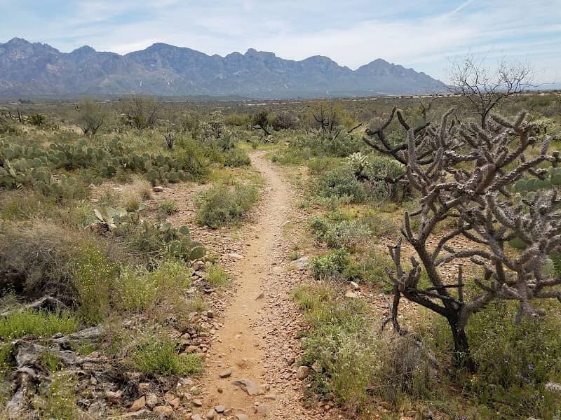 Big Wash Trail Head - Image 1
