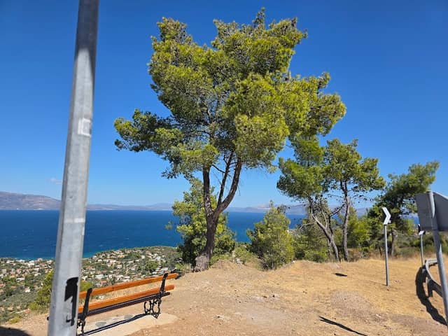 Top bench - Image 1