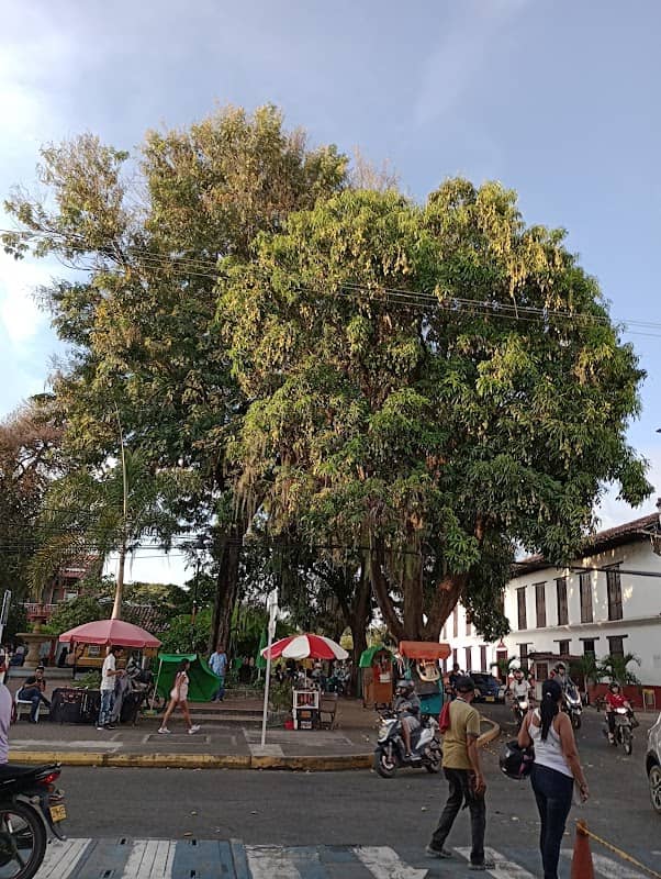 Fuente de agua. - Image 1