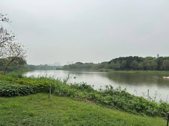 Haizhu Lake - Image 1
