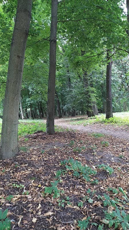Park - Image 1