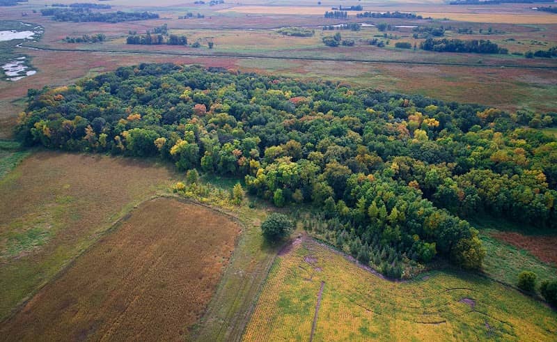 Revanche Wildlife Management Area - Image 3