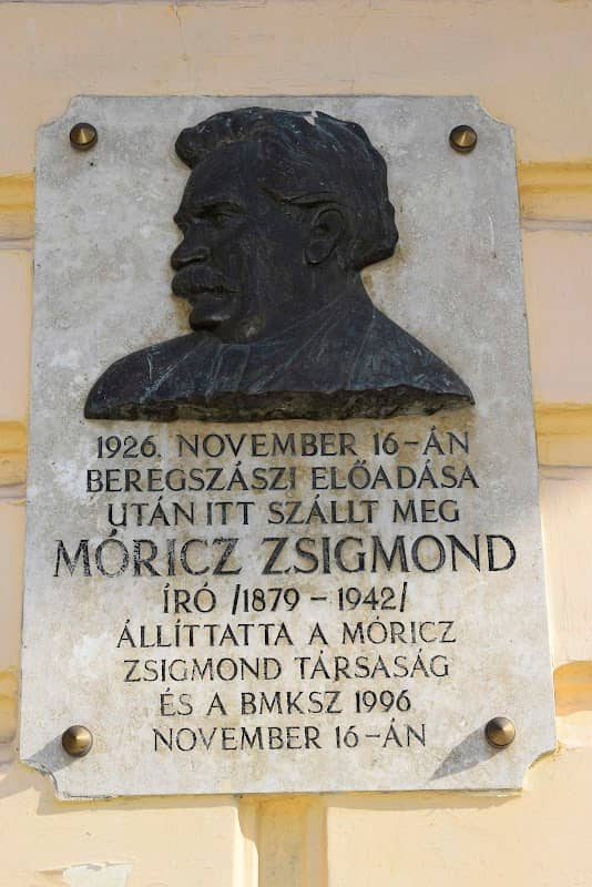 Memorialʹna Doshka Zhyhmonda Moritsa - Image 1