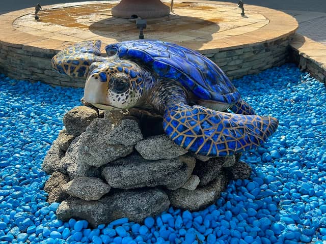 PCAF Turtle Trail: #3 Marc-Sea - Image 1