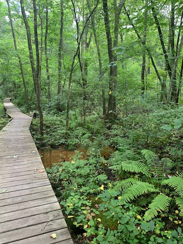 Wildlands Trust - Brockton Audubon Preserve - Image 2
