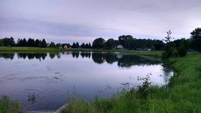 Golden Oaks Park - Image 1
