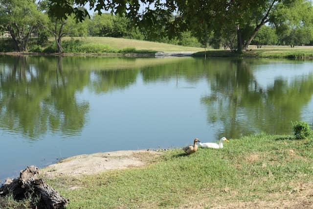 Bradfield Village Park - Image 1