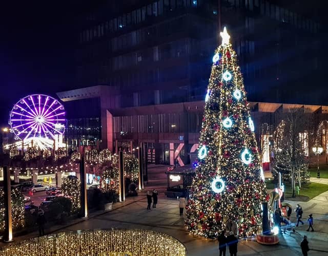 Iulius Gardens Christmas tree - Image 2