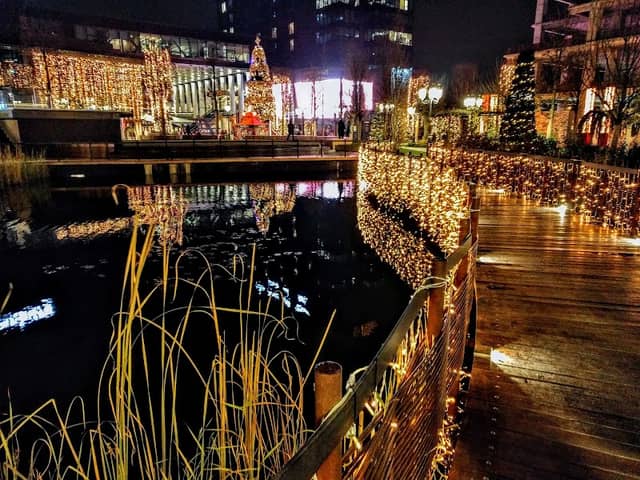 Iulius Gardens Christmas tree - Image 3