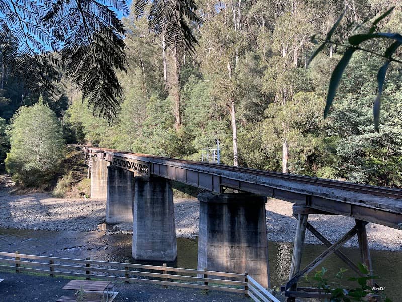 Walhalla Goldfields Railway: Thomson River - Image 1